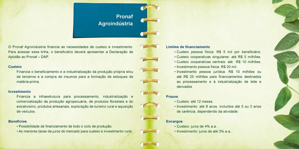 Investimento Financia a infraestrutura para processamento, industrialização e comercialização da produção agropecuária, de produtos florestais e do extrativismo, produtos artesanais, exploração de