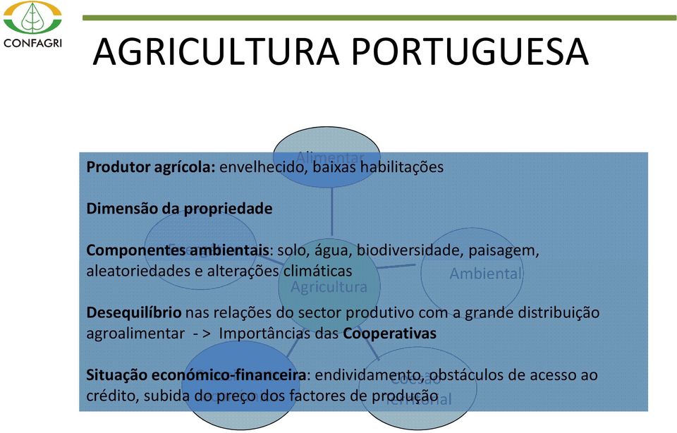 Desequilíbrionas relações do sector produtivo com a grande distribuição agroalimentar - > Importâncias das Cooperativas Situação