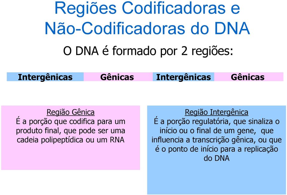 cadeia polipeptídica ou um RN Região Intergênica É a porção regulatória, que sinaliza o início ou o