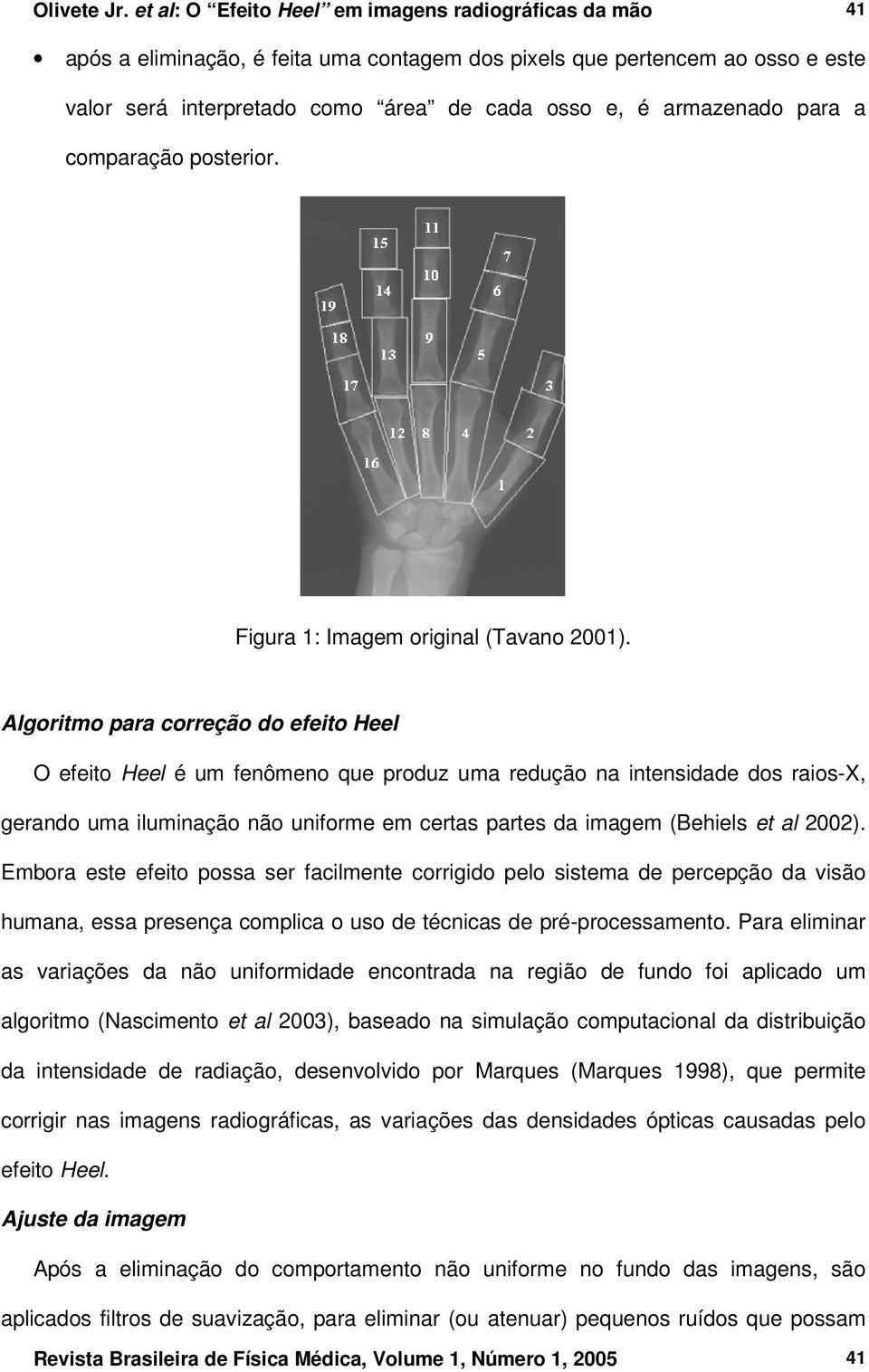 para a comparação posterior. Figura 1: Imagem original (Tavano 2001).