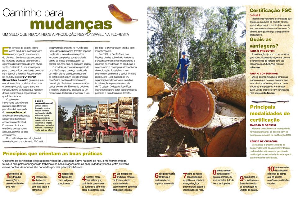 Reconhecido no mundo, o selo FSC (Forest Stewardship Council ) garante que a madeira e outros produtos têm como origem a produção responsável na floresta, dentro de regras que reduzem danos e