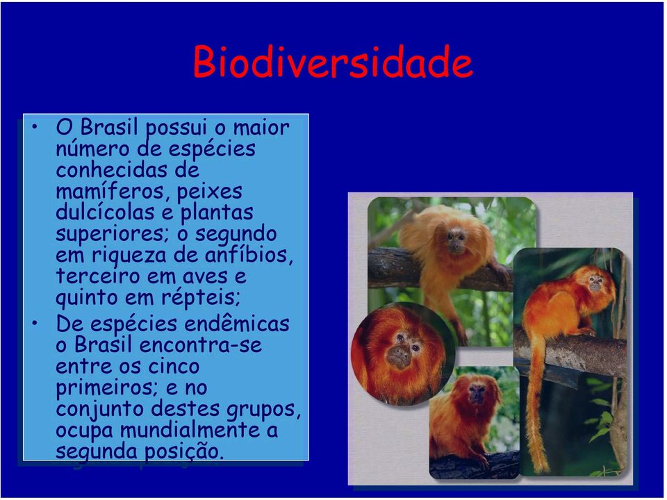 anfíbios, terceiro em aves e quinto em répteis; De espécies endêmicas o Brasil