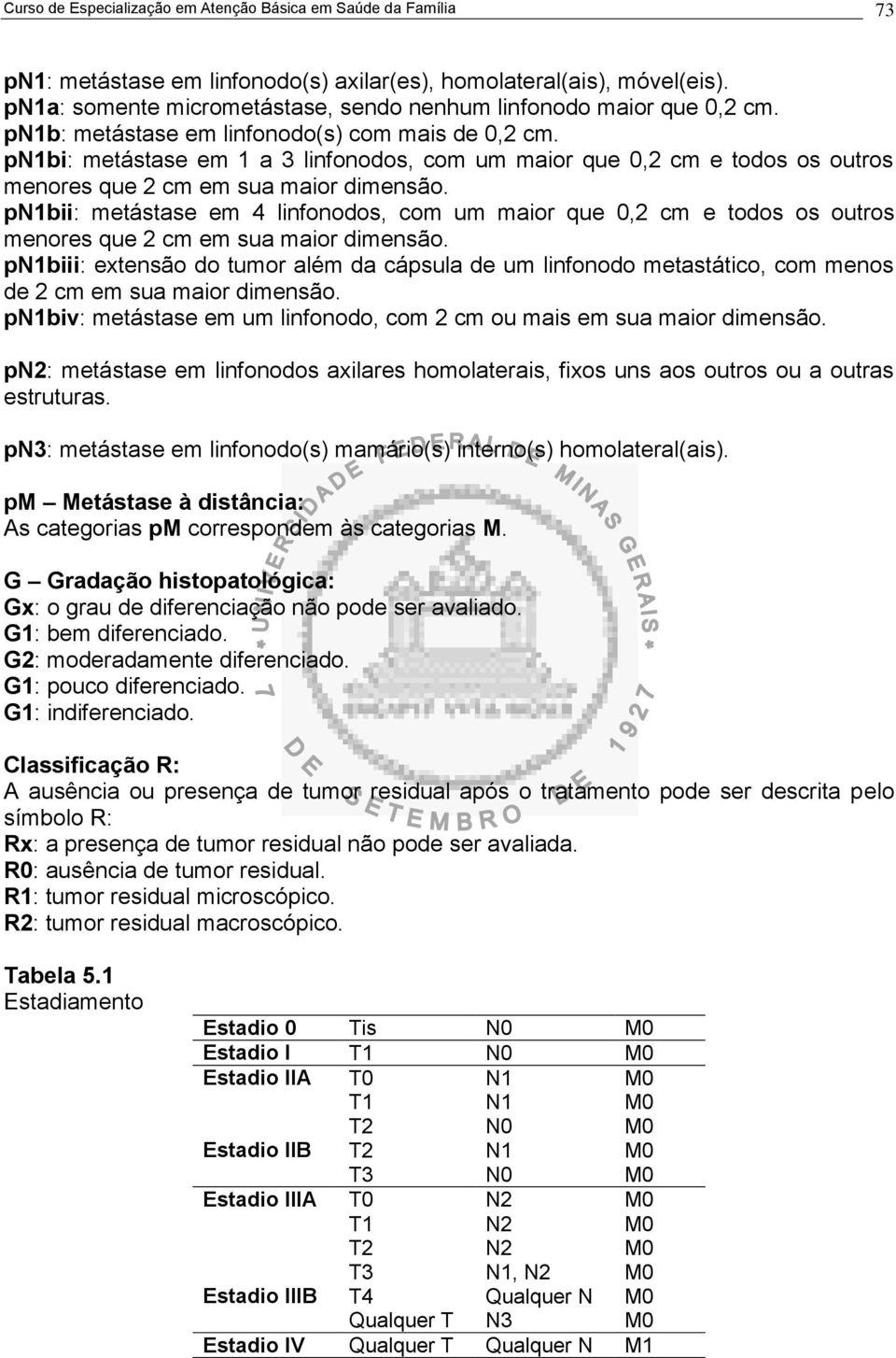 pn1bi: metástase em 1 a 3 linfonodos, com um maior que 0,2 cm e todos os outros menores que 2 cm em sua maior dimensão.