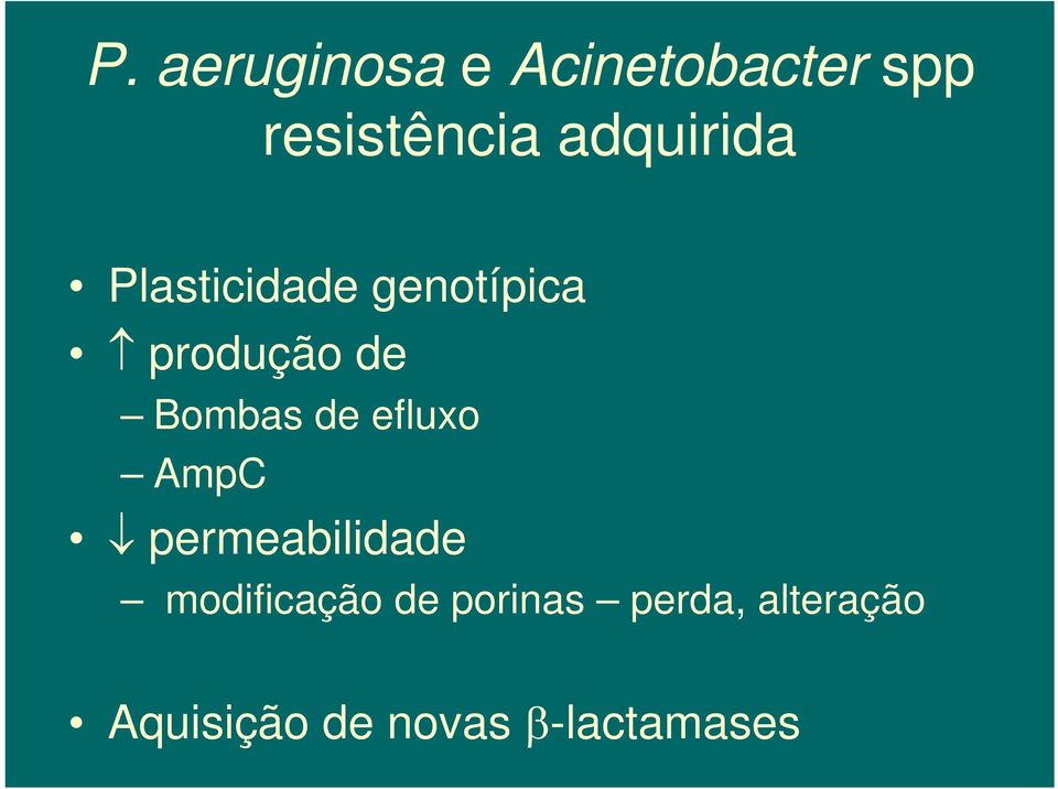 Bombas de efluxo AmpC permeabilidade modificação