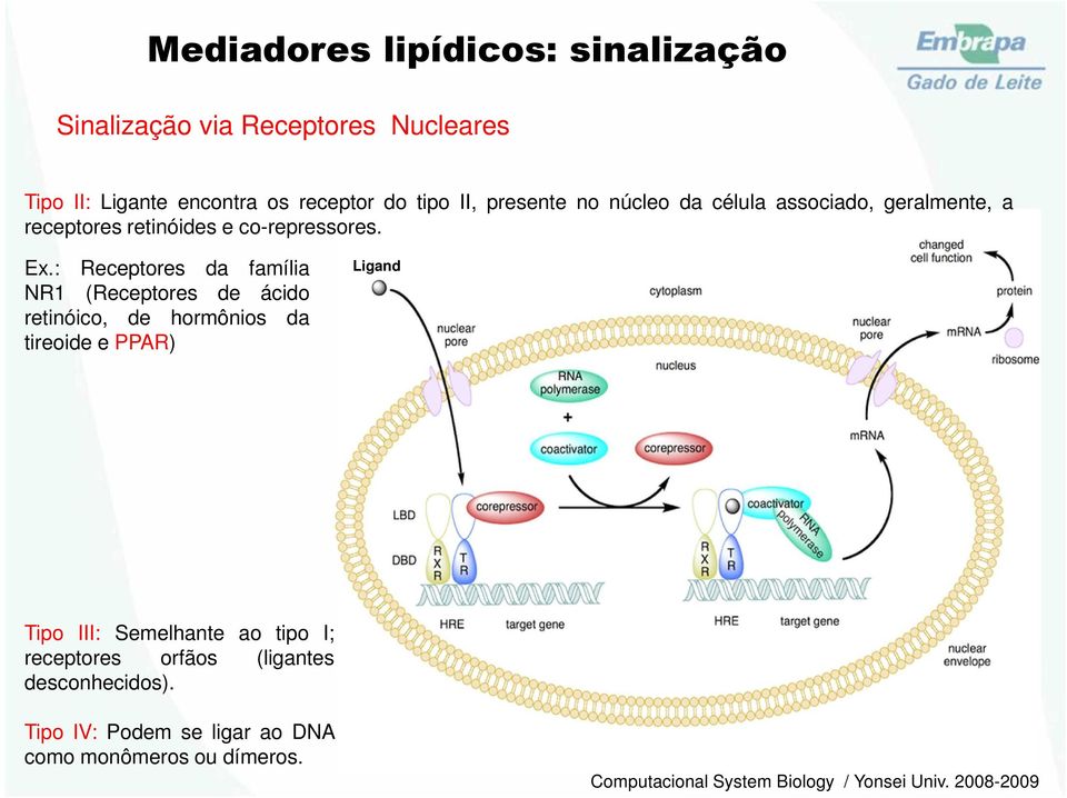 : Receptores da família NR1 (Receptores de ácido retinóico, de hormônios da tireoide e PPAR) Ligand Tipo III: Semelhante ao