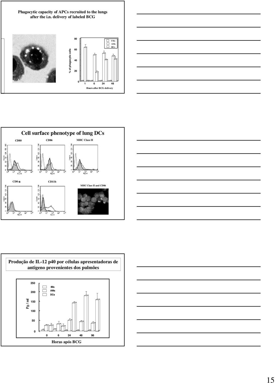 delivery of labeled BCG % of phagocytic cells 8 6 I Ms AMs DCs 6 8 Hours after BCG delivery