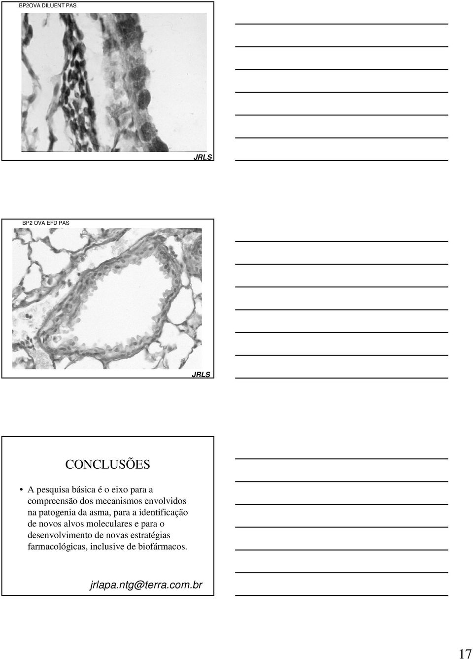 identificação de novos alvos moleculares e para o desenvolvimento de novas