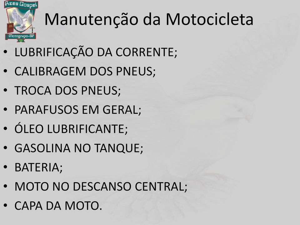 PARAFUSOS EM GERAL; ÓLEO LUBRIFICANTE; GASOLINA