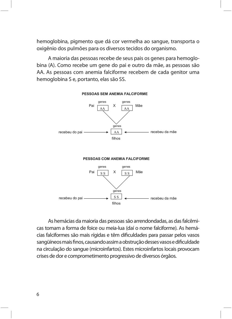 PESSOAS SEM ANEMIA FALCIFORME Pai AA X AA Mãe recebeu do pai AA filhos recebeu da mãe PESSOAS COM ANEMIA FALCIFORME Pai S S X S S Mãe recebeu do pai S S filhos recebeu da mãe As hemácias da maioria