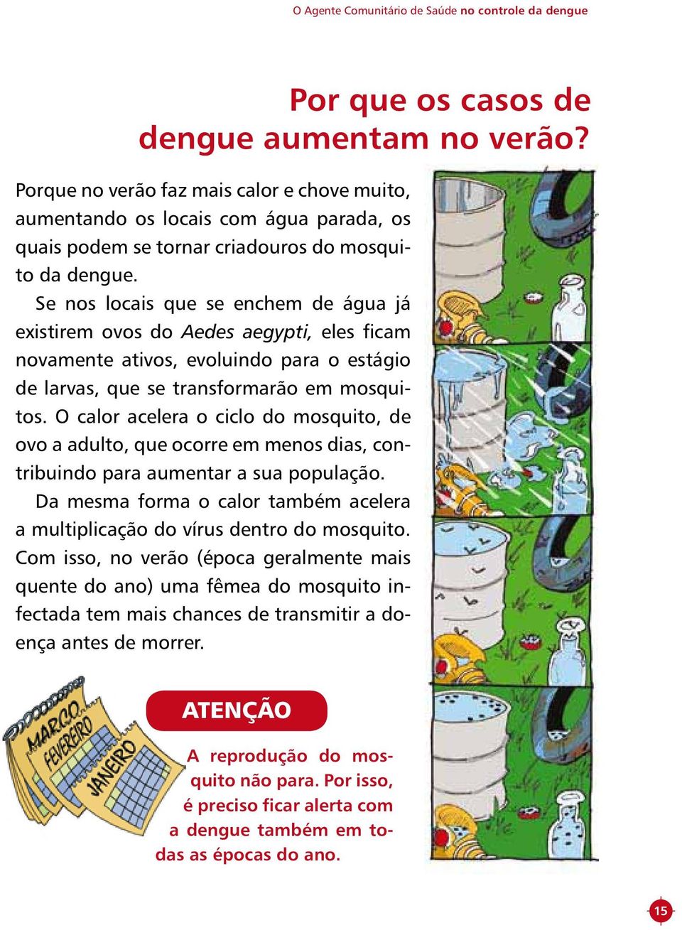 Se nos locais que se enchem de água já existirem ovos do Aedes aegypti, eles ficam novamente ativos, evoluindo para o estágio de larvas, que se transformarão em mosquitos.