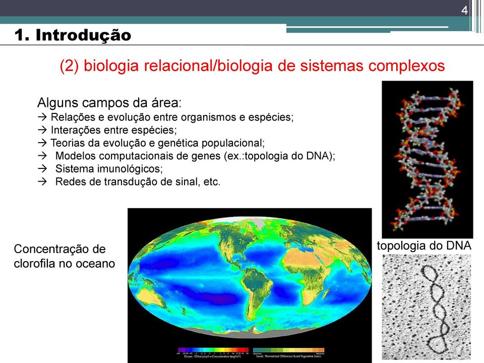 evolução e genética populacional; Modelos computacionais de genes (ex.