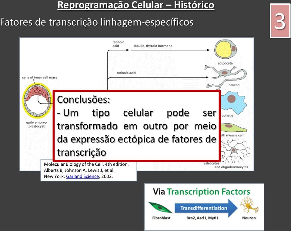 expressão ectópica de fatores de transcrição Molecular Biology of the Cell.