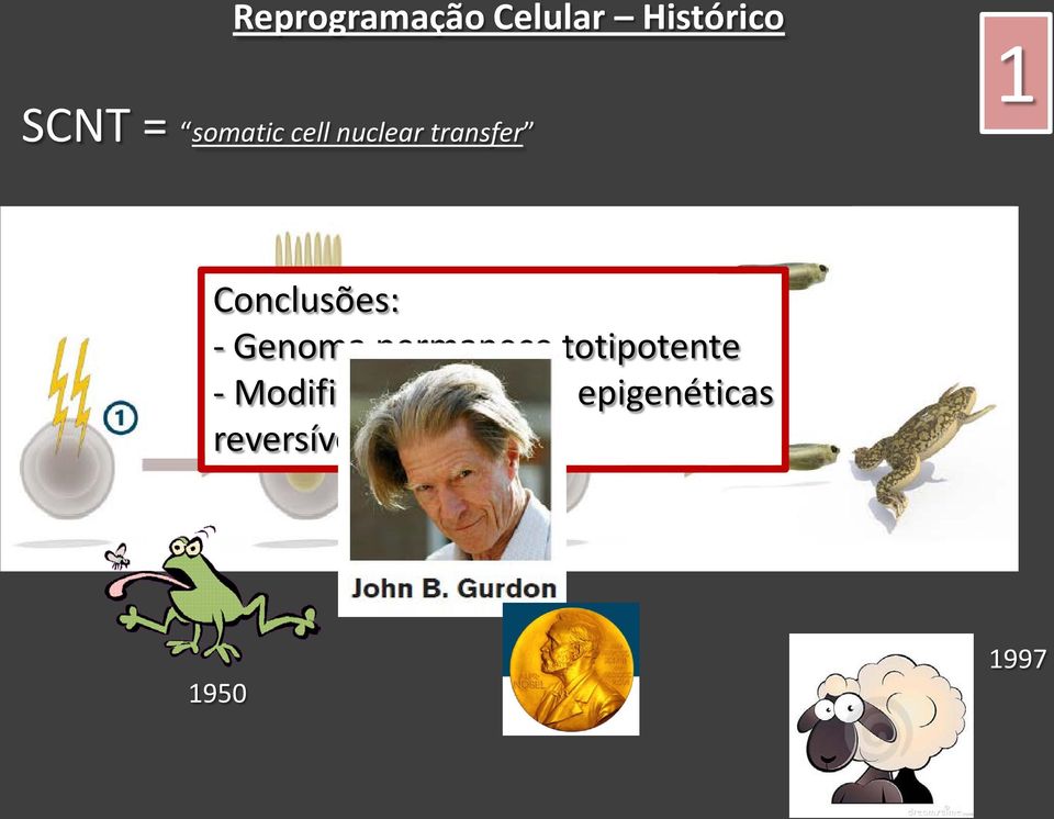 Conclusões: - Genoma permanece