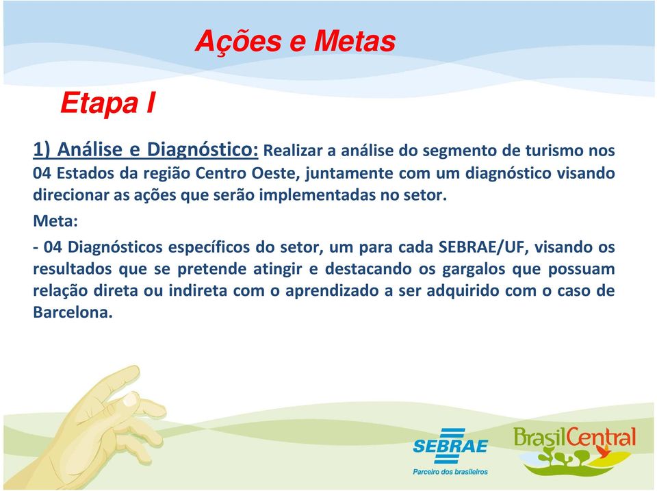 Meta: - 04 Diagnósticos específicos do setor, um para cada SEBRAE/UF, visando os resultados que se pretende