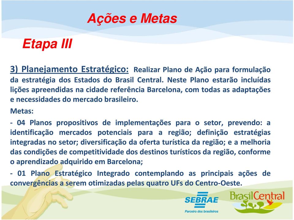 Metas: - 04 Planos propositivos de implementações para o setor, prevendo: a identificação mercados potenciais para a região; definição estratégias integradas no setor; diversificação da