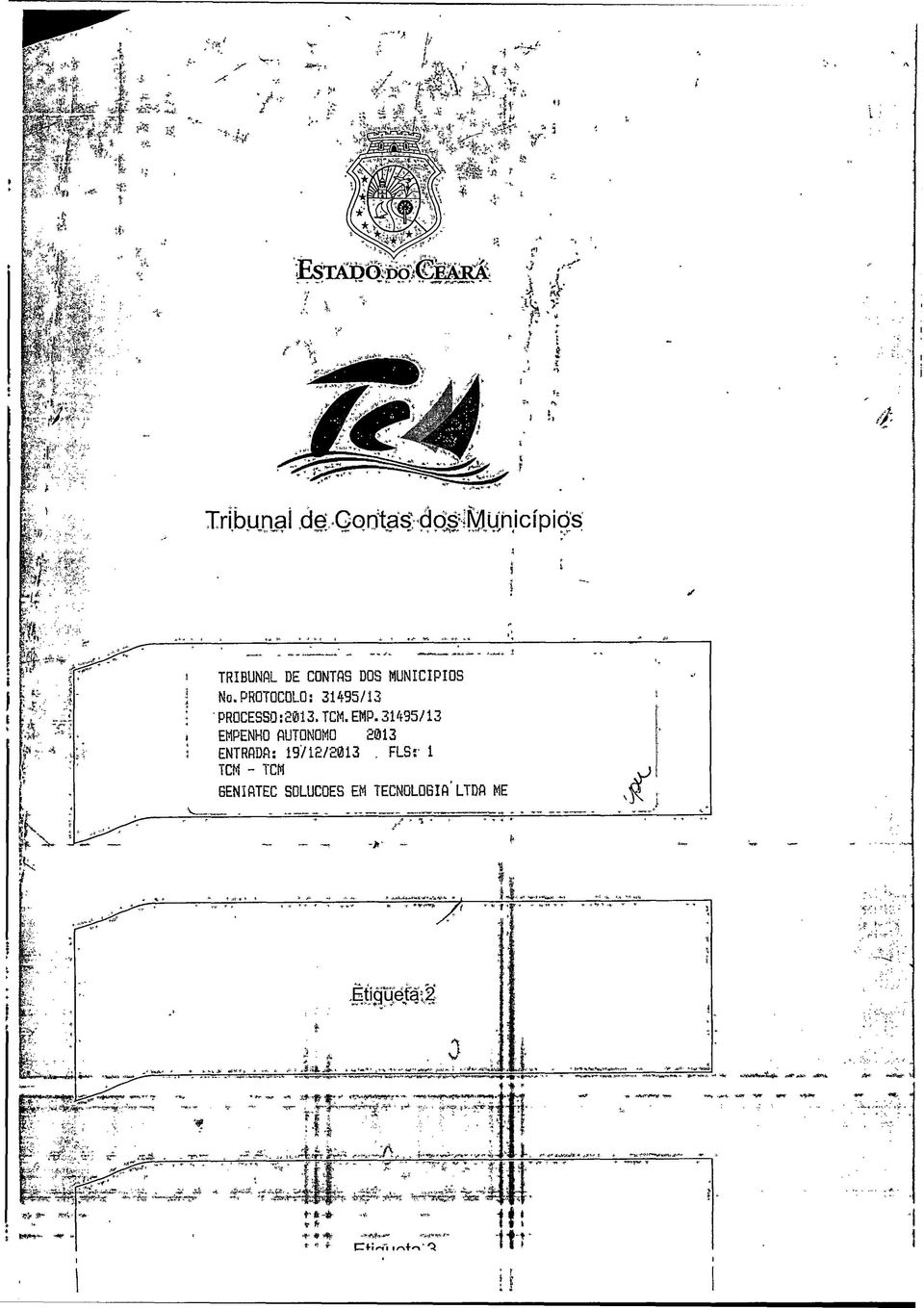 FLSr 1 TCM - TCM GENIRTEC SGLUCOES EH TECNQLOBIft LTDfl ME Èticjüèfã;2» ' *,$SkÂ-~ 0.