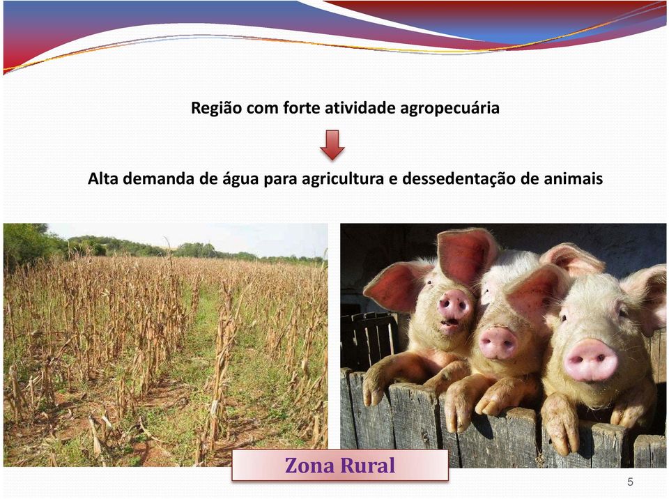 água para agricultura e