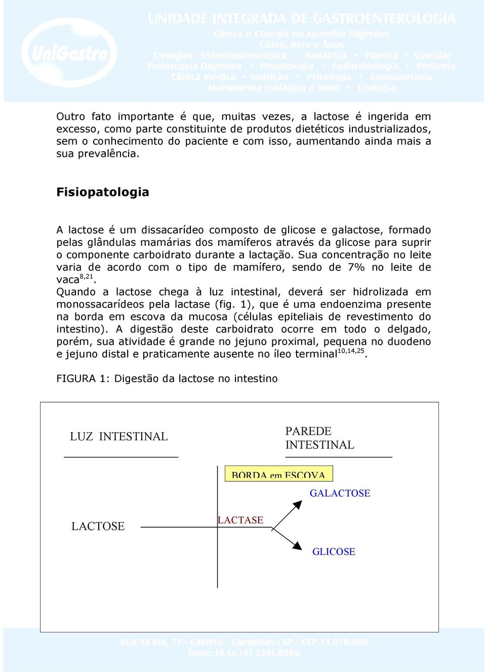 Fisiopatologia A lactose é um dissacarídeo composto de glicose e galactose, formado pelas glândulas mamárias dos mamíferos através da glicose para suprir o componente carboidrato durante a lactação.