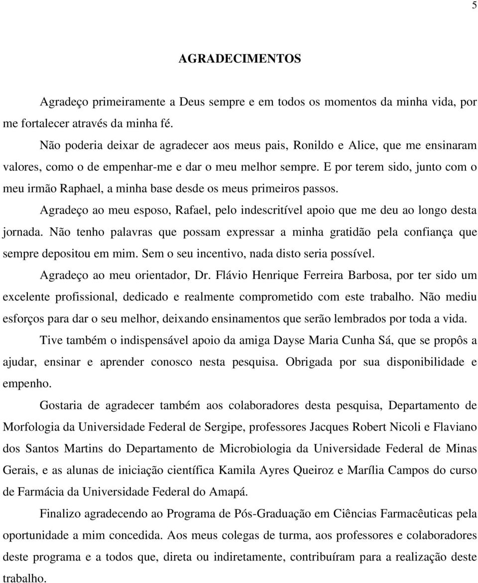 E por terem sido, junto com o meu irmão Raphael, a minha base desde os meus primeiros passos. Agradeço ao meu esposo, Rafael, pelo indescritível apoio que me deu ao longo desta jornada.