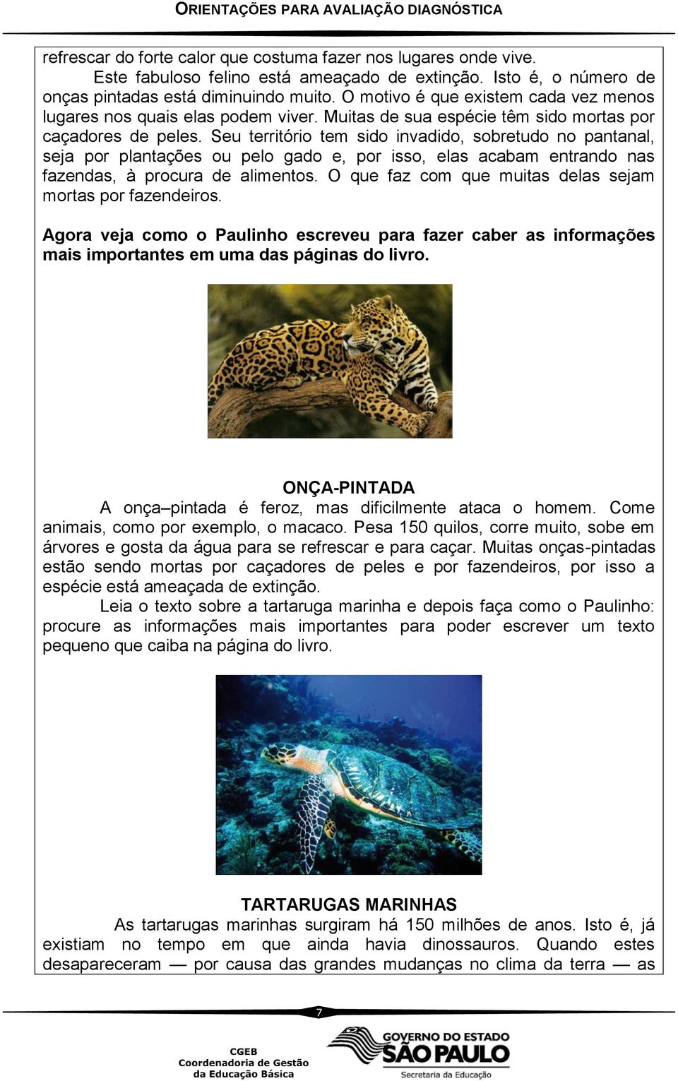 Seu território tem sido invadido, sobretudo no pantanal, seja por plantações ou pelo gado e, por isso, elas acabam entrando nas fazendas, à procura de alimentos.