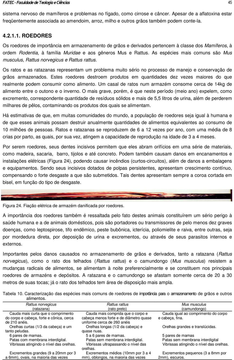 1. ROEDORES Os roedores de importância em armazenamento de grãos e derivados pertencem à classe dos Mamíferos, à ordem Rodentia, à família Muridae e aos gêneros Mus e Rattus.