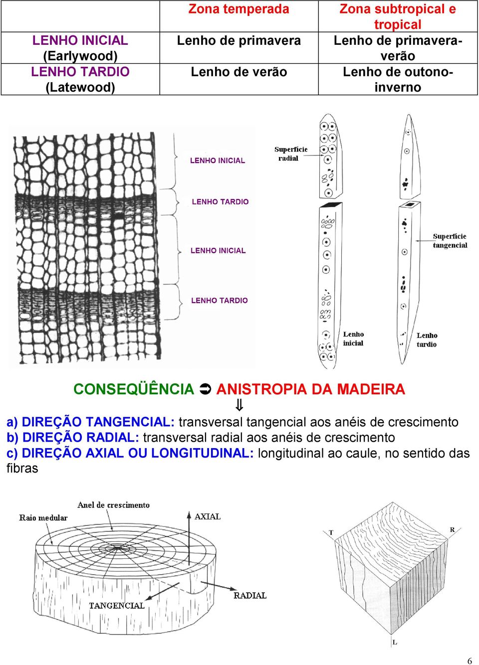 a) DIREÇÃO TANGENCIAL: transversal tangencial aos anéis de crescimento b) DIREÇÃO RADIAL: transversal