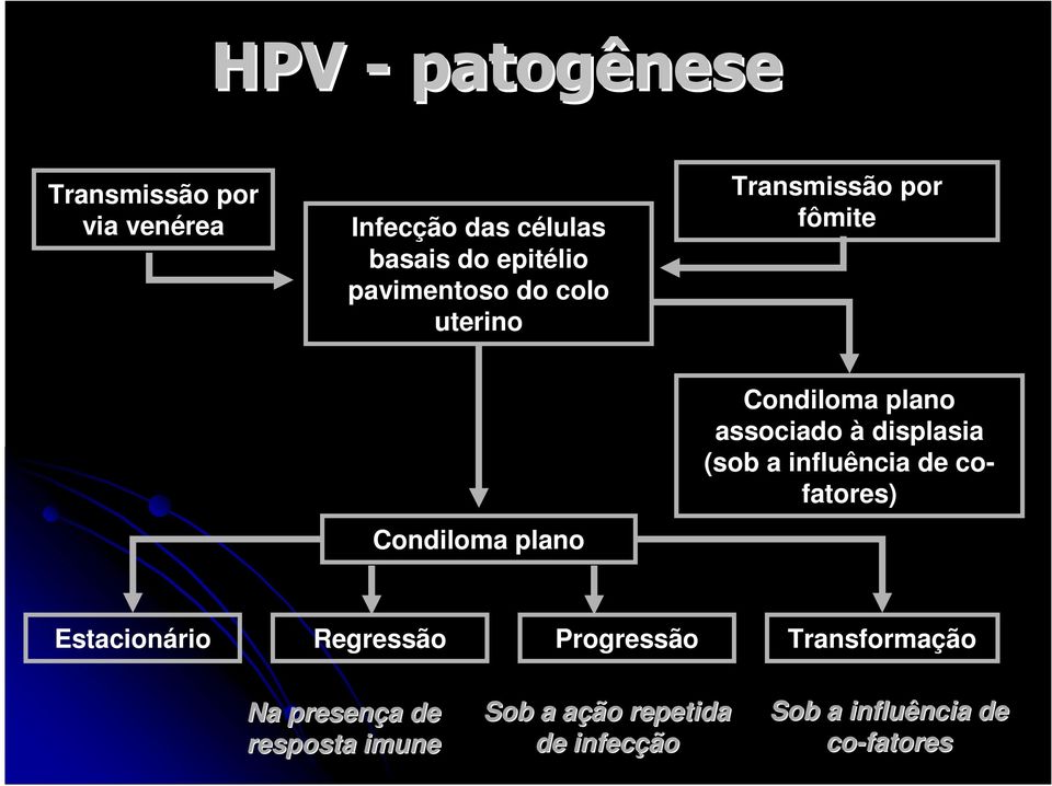 associado à displasia (sob a influência de cofatores) Estacionário Regressão Progressão