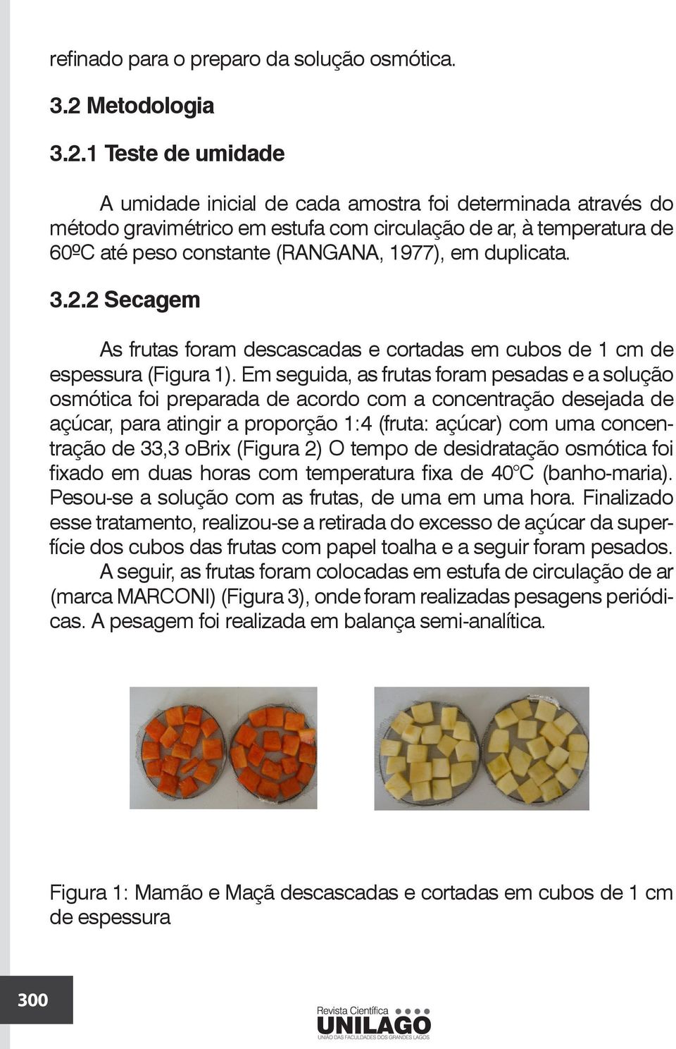 1 Teste de umidade A umidade inicial de cada amostra foi determinada através do método gravimétrico em estufa com circulação de ar, à temperatura de 60ºC até peso constante (RANGANA, 1977), em