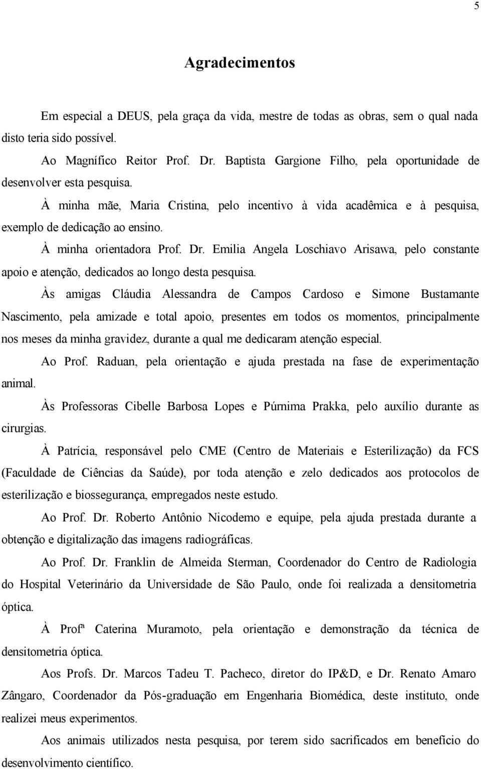 À minha orientadora Prof. Dr. Emilia Angela Loschiavo Arisawa, pelo constante apoio e atenção, dedicados ao longo desta pesquisa.