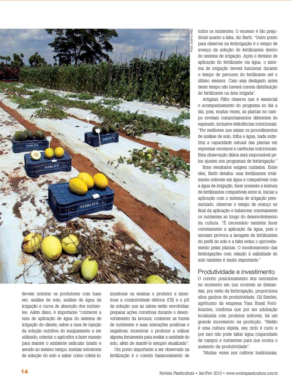 fazer manejo para manter o ambiente radicular úmido e aerado ao mesmo tempo; instalar extratores de solução do solo e saber como coletá-lo; Variedades de melão amarelo monitorar ou ensinar o produtor