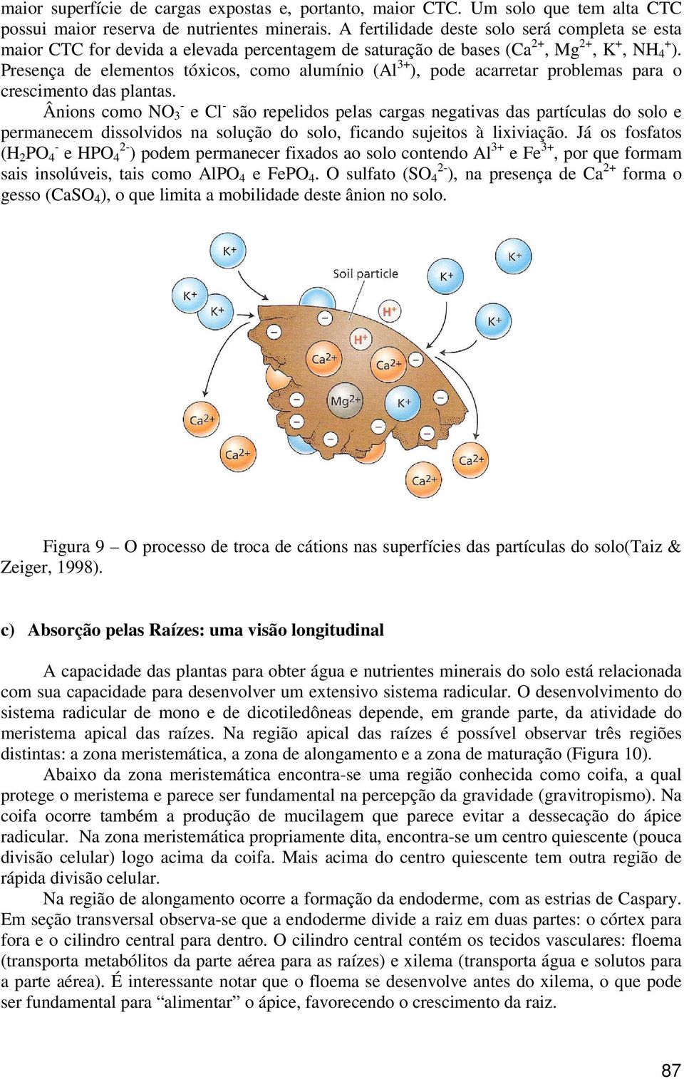 Presença de elementos tóxicos, como alumínio (Al 3+ ), pode acarretar problemas para o crescimento das plantas.