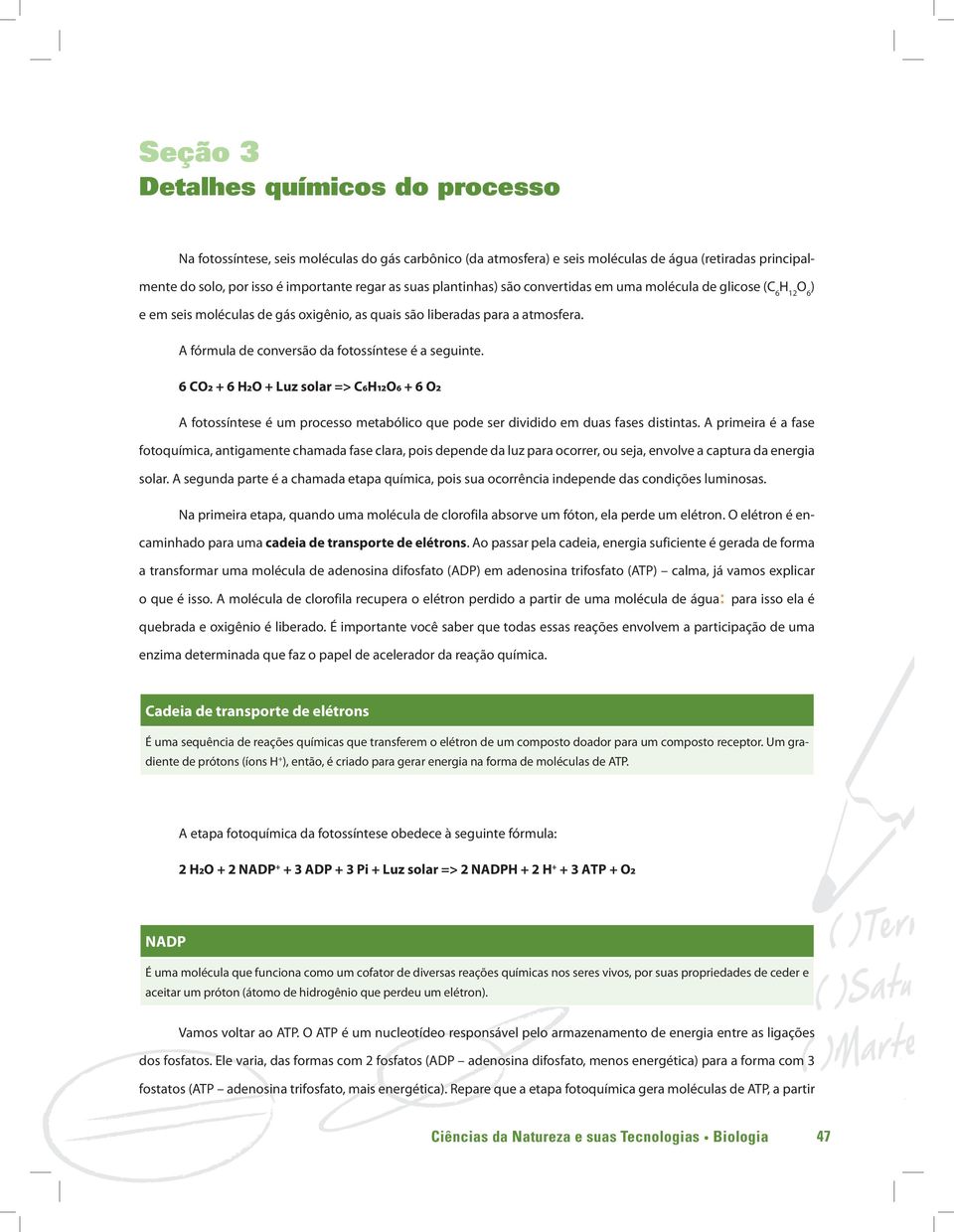 A fórmula de conversão da fotossíntese é a seguinte. 6 CO2 + 6 H2O + Luz solar => C6H12O6 + 6 O2 A fotossíntese é um processo metabólico que pode ser dividido em duas fases distintas.