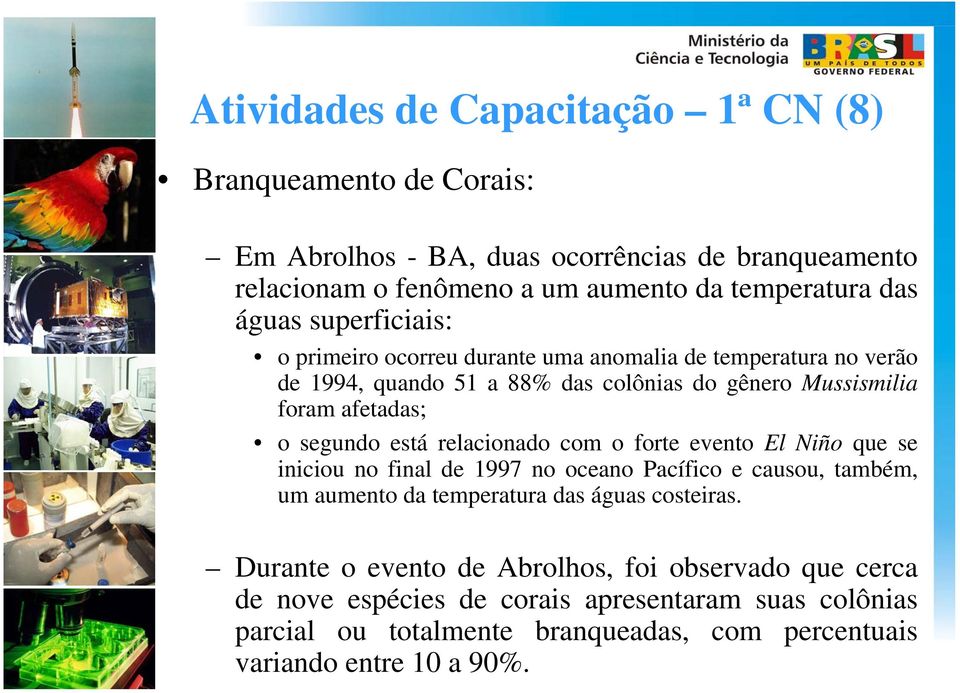 está relacionado com o forte evento El Niño que se iniciou no final de 1997 no oceano Pacífico e causou, também, um aumento da temperatura das águas costeiras.