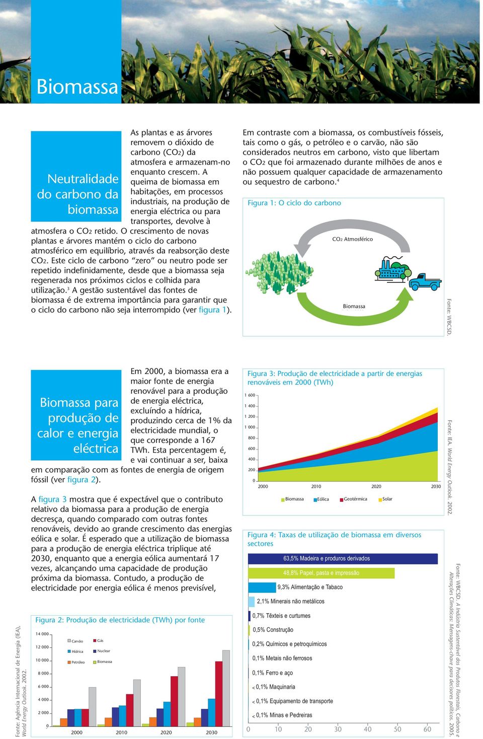 O crescimento de novas plantas e árvores mantém o ciclo do carbono atmosférico em equilíbrio, através da reabsorção deste CO2.