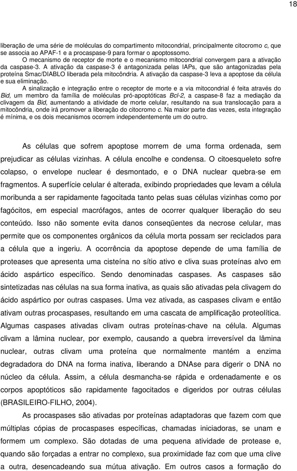 A ativação da caspase-3 é antagonizada pelas IAPs, que são antagonizadas pela proteína Smac/DIABLO liberada pela mitocôndria. A ativação da caspase-3 leva a apoptose da célula e sua eliminação.