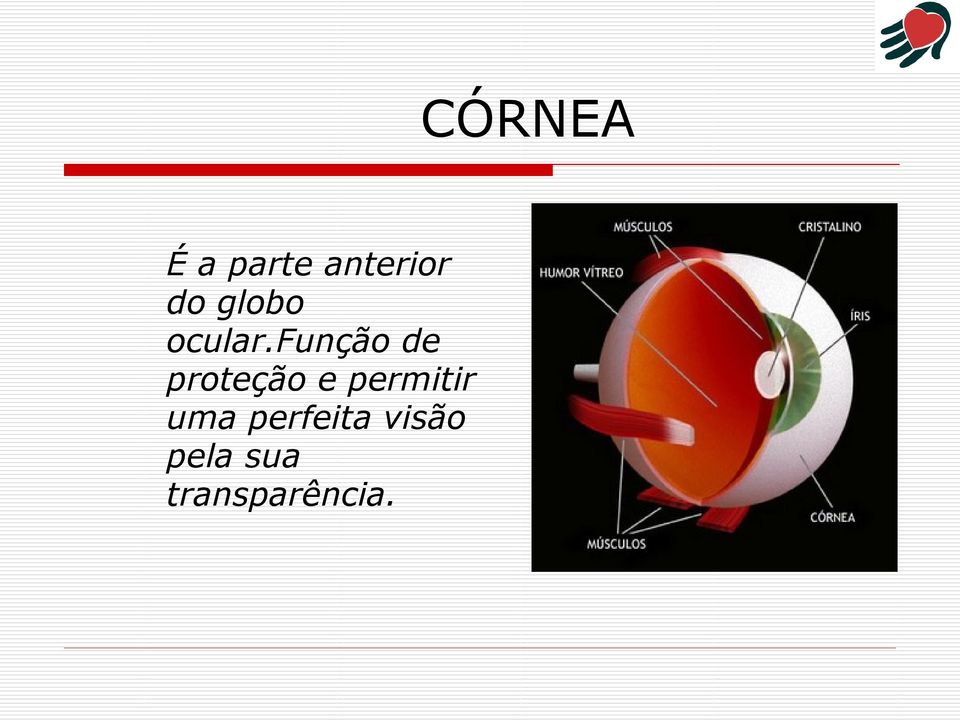 função de proteção e