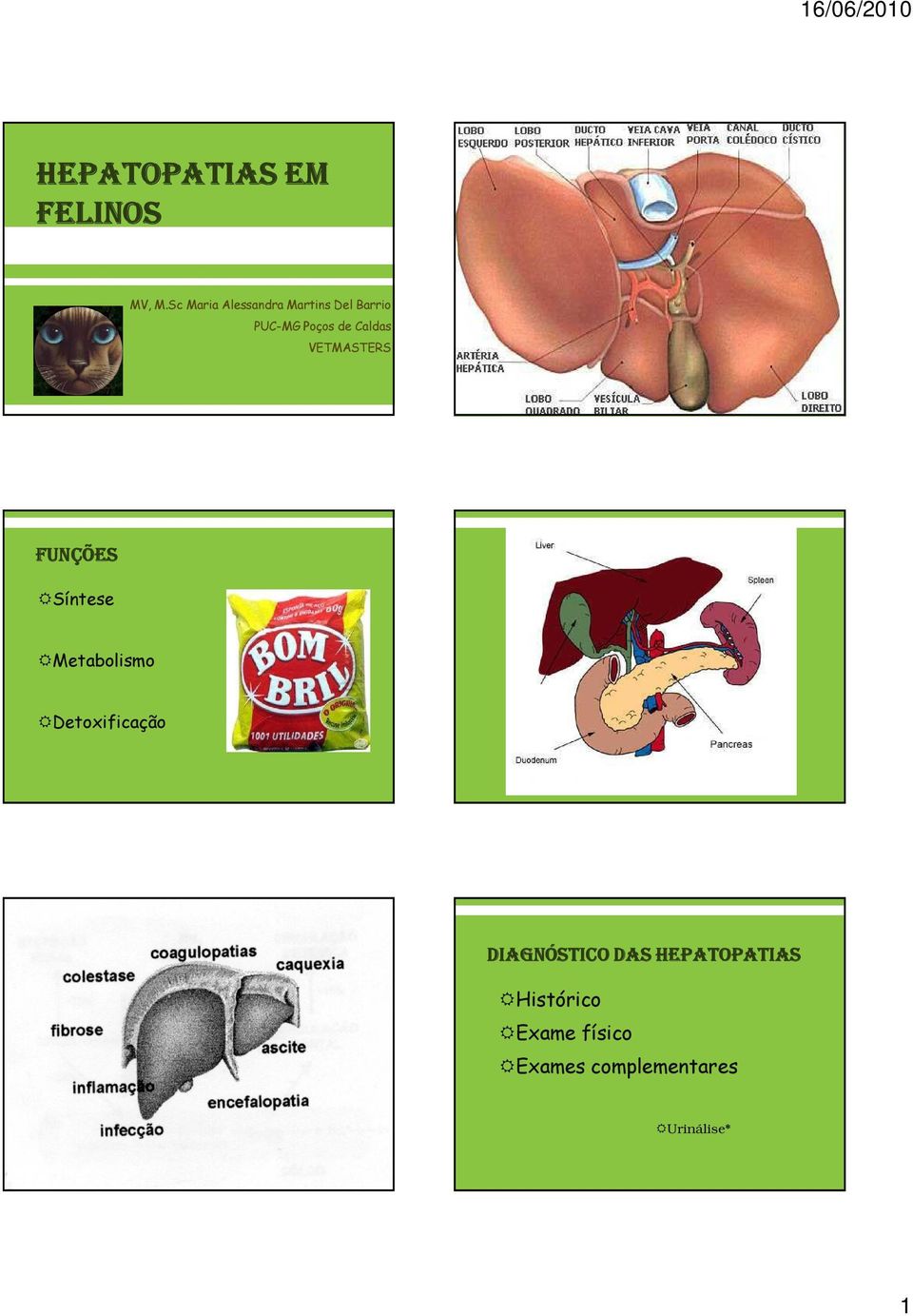 Caldas VETMASTERS FUNÇÕES Síntese Metabolismo