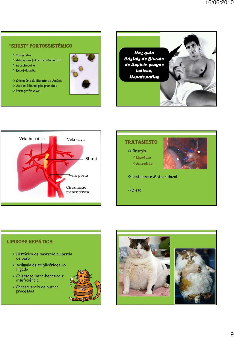 TRATAMENTO Shunt Cirurgia Ligadura Ameróide Veia porta Circulação mesentérica Lactulona e Metronidazol Dieta LIPIDOSE HEPÁTICA