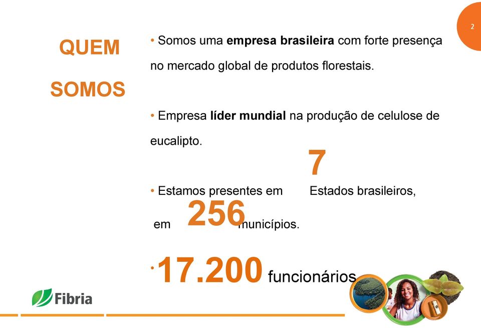 SOMOS Empresa líder mundial na produção de celulose de