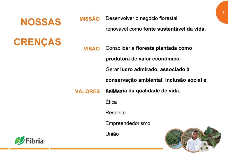 VISÃO Consolidar a floresta plantada como produtora de valor econômico.