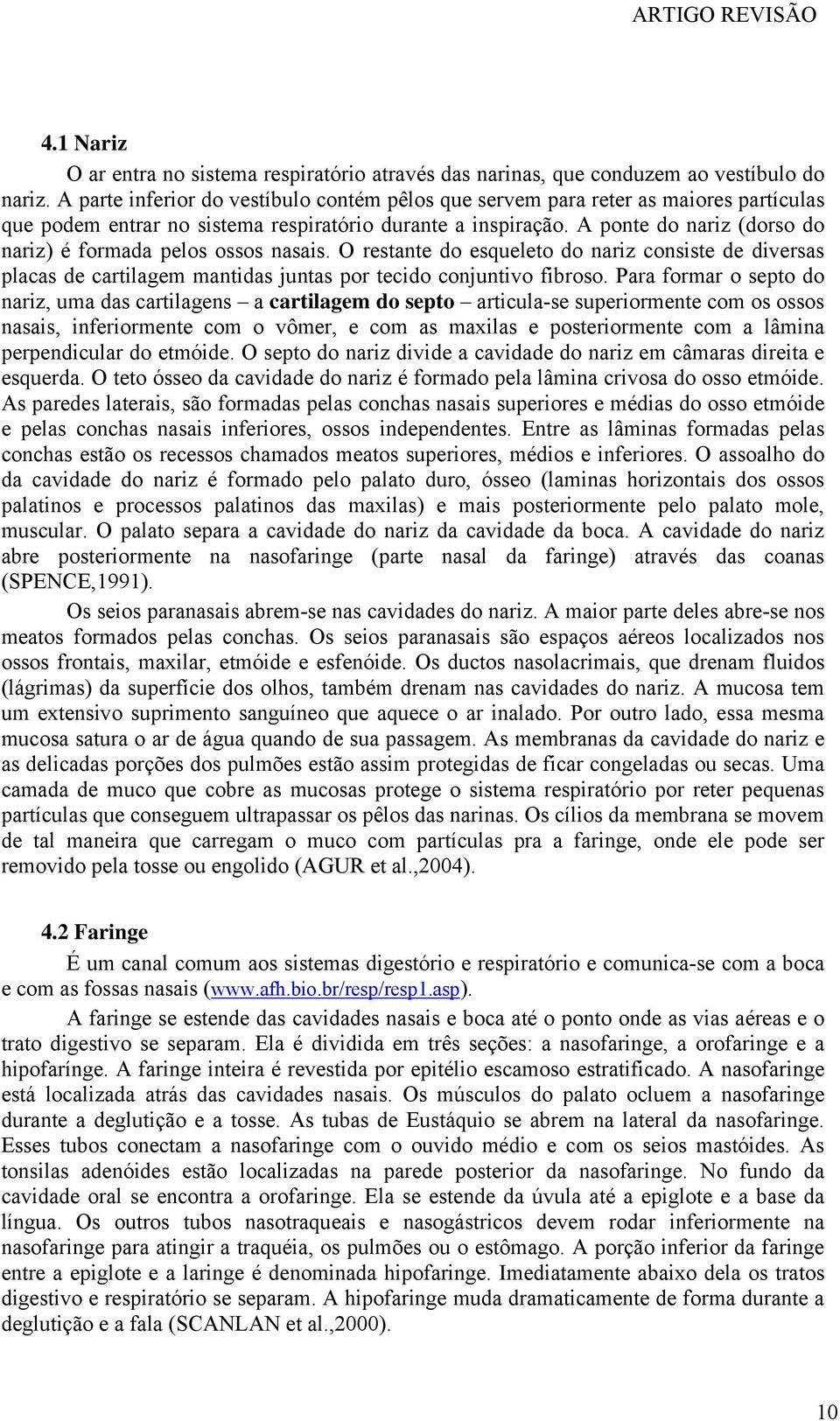 A ponte do nariz (dorso do nariz) é formada pelos ossos nasais. O restante do esqueleto do nariz consiste de diversas placas de cartilagem mantidas juntas por tecido conjuntivo fibroso.