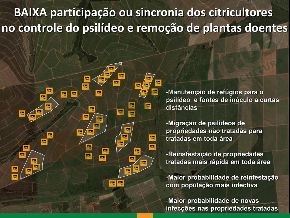 tratadas para tratadas em toda área -Reinsfestação de propriedades tratadas mais rápida em toda área -Maior