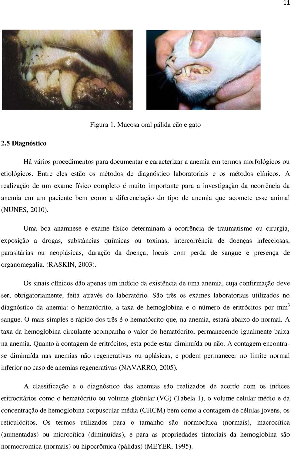 A realização de um exame físico completo é muito importante para a investigação da ocorrência da anemia em um paciente bem como a diferenciação do tipo de anemia que acomete esse animal (NUNES, 2010).