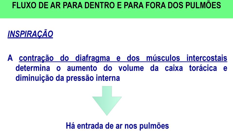 intercostais determina o aumento do volume da caixa