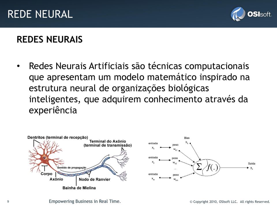 organizações biológicas inteligentes, que adquirem conhecimento através da