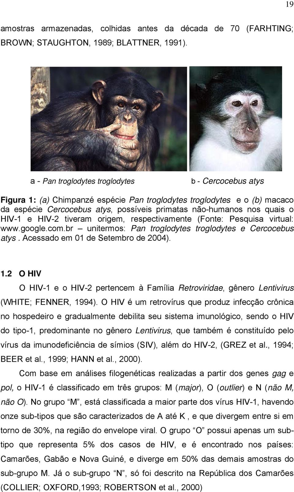 HIV-1 e HIV-2 tiveram origem, respectivamente (Fonte: Pesquisa virtual: www.google.com.br unitermos: Pan troglodytes troglodytes e Cercocebus atys. Acessado em 01 de Setembro de 2004). 1.