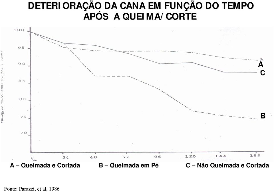 e Cortada B Queimada em PéP C Não