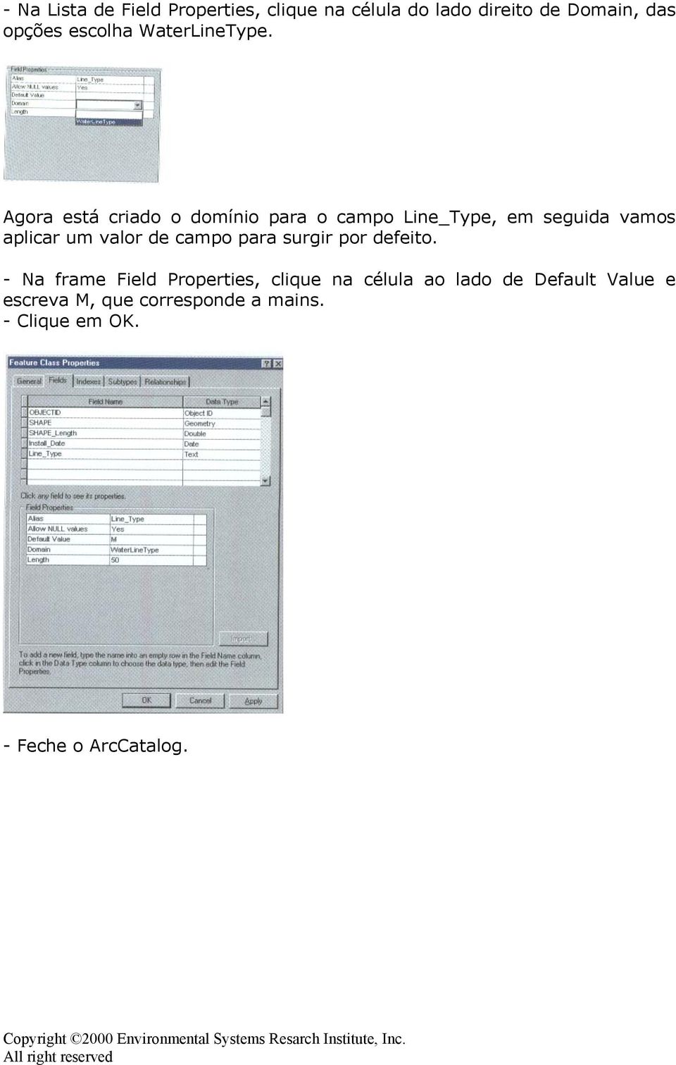 Agora está criado o domínio para o campo Line_Type, em seguida vamos aplicar um valor de