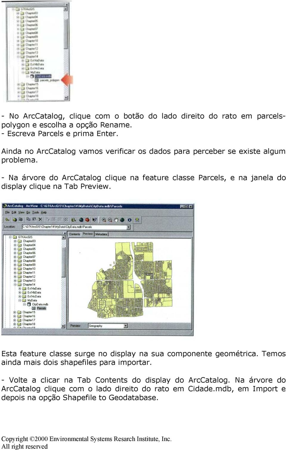 - Na árvore do ArcCatalog clique na feature classe Parcels, e na janela do display clique na Tab Preview.