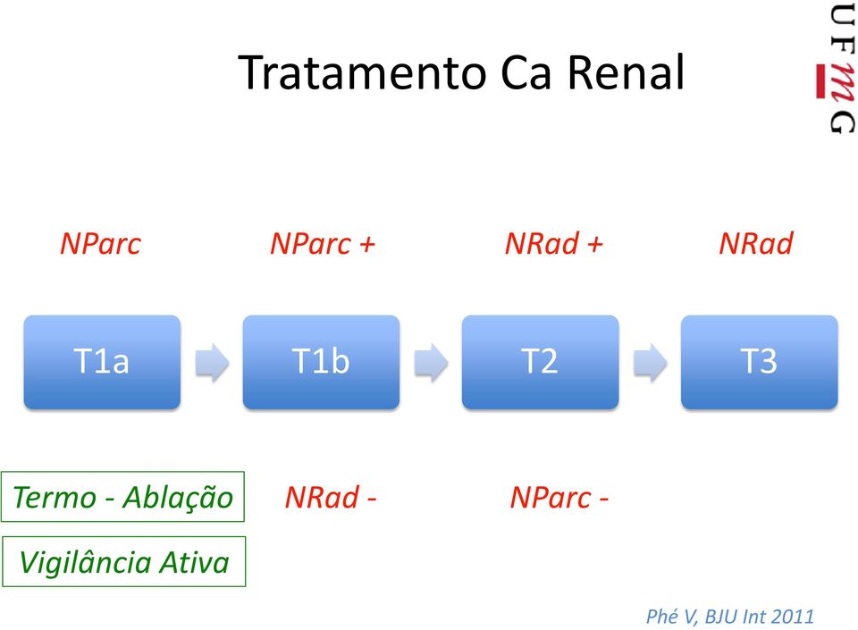 Termo - Ablação Vigilância